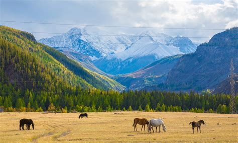 The Altai Mountains: Siberian Switzerland