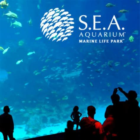 RWS Sea Aquarium X 2, Tickets & Vouchers, Local Attractions & Transport ...