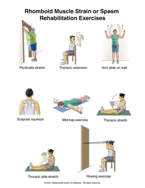 25 best images about Middle Back Pain Exercises on Pinterest | Back ...