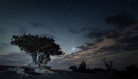 Fall in Love with Great Basin National Park - Samantha Brown's Places ...