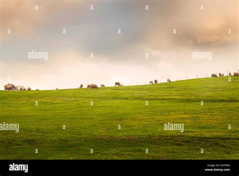 Australian countryside Stock Photo - Alamy