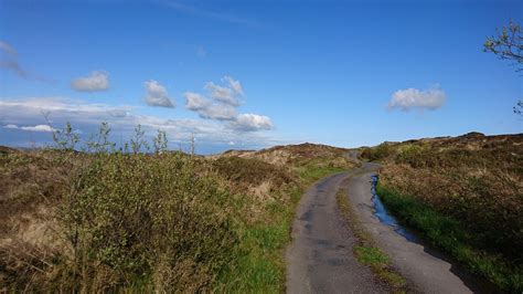 Ireland Countryside Road Field - Free photo on Pixabay