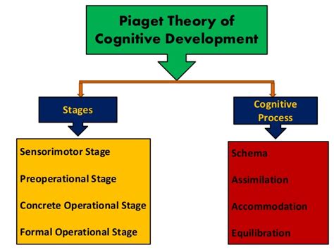 Piaget's Schematic Development Theory Piaget Schema Theory I