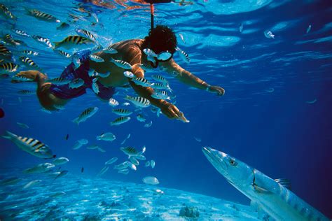 Nassau Snorkeling - An Exclusive Private Water Adventure