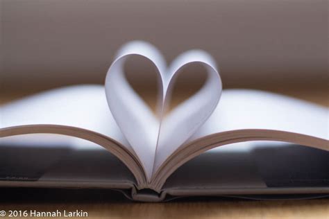 Love Books - Valentine's Day - A Book Lover's Heart