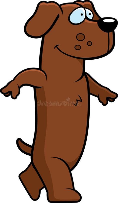 Dog Walking Cartoon Stock Illustrations 11758 Dog Walking Cartoon