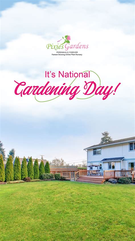 National Gardening Day | Online Plant Nursery