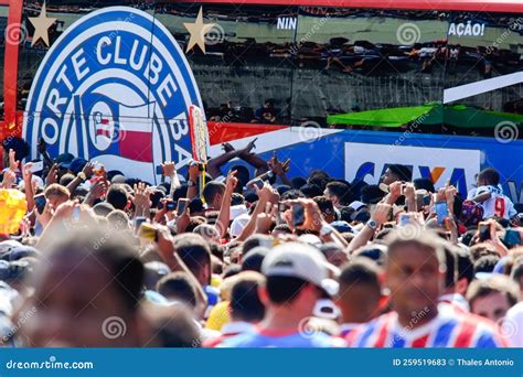 Supporters of the Esporte Clube Bahia Football Team, Seen through the ...