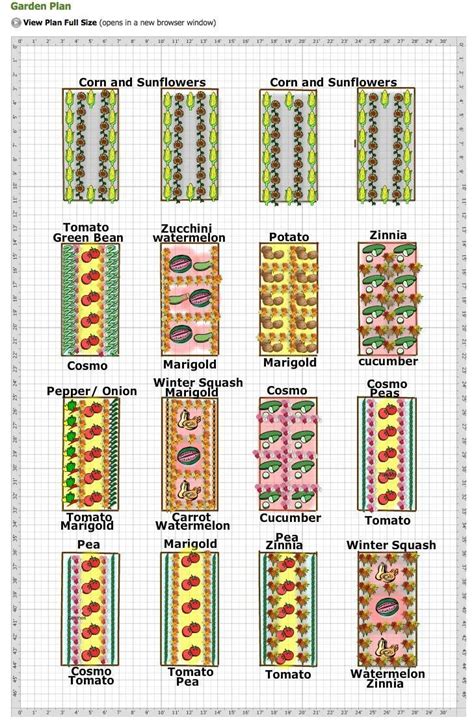 Printable Zone 9b Planting Schedule