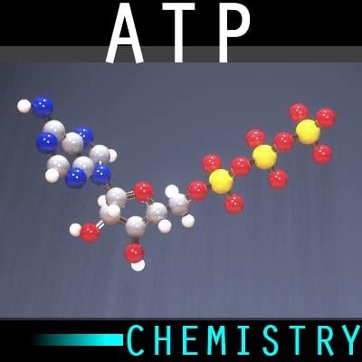 molecule atp 3d model