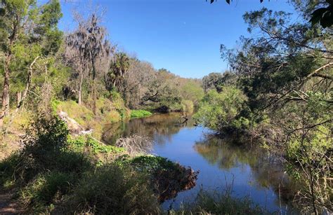 10 Best hikes and trails in Myakka River State Park | AllTrails