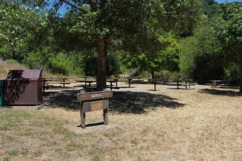 Reinhardt Redwood Picnic Areas - Oakland | East Bay Parks