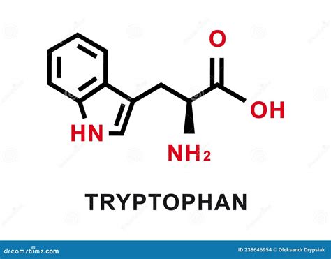 Tryptophan Chemical Formula. Tryptophan Chemical Molecular Structure ...