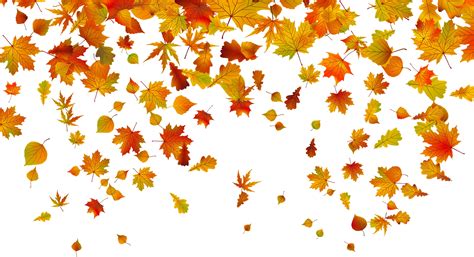 transparent fall leaves background - Clip Art Library