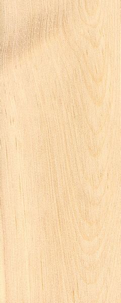 Limber Pine | The Wood Database - Lumber Identification (Softwood)