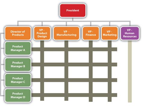 Reading: The Organization Chart and Reporting Structure | Introduction ...