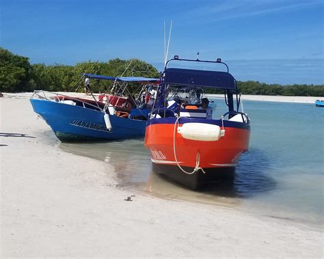 THE 15 BEST Things to Do in Holbox Island - 2023 (with Photos ...