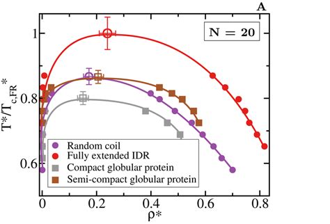 Role of globular and compact conformations in LLPS. (A) Phase diagram ...