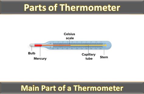 Parts of Thermometer | Digital Thermometer