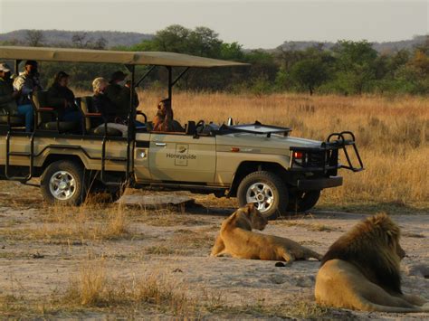 8 day Safari in South Africa | On The Go Tours