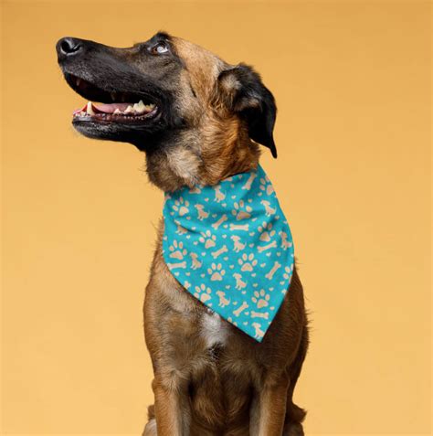 Design Personalized Dog Bandanas