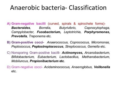 Anaerobic organism ~ Detailed Information | Photos | Videos