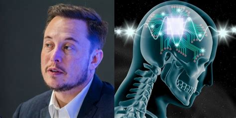 Elon Musk’s Neuralink to start human trials this year, as long as ...