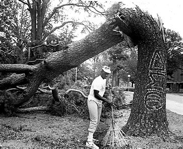 1989 - Hurricane Hugo Hits Charlotte | Charlotte Mecklenburg Story