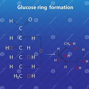 Glucose Ring Formation Anomers of Glucose Stock Vector - Illustration ...