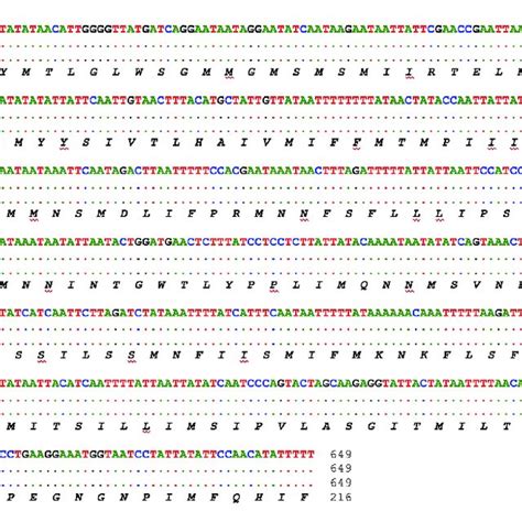 Nucleotide sequence alignment and the deduced amino acid sequence of ...