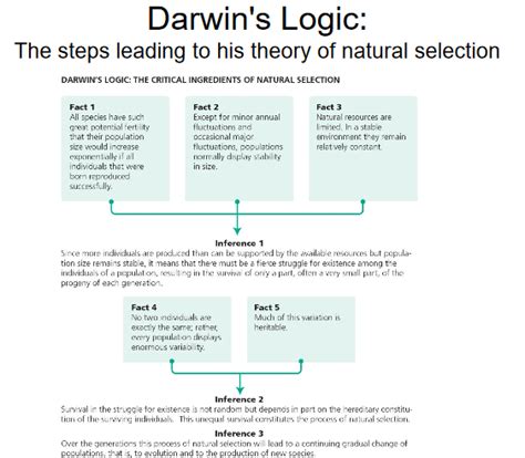 Natural Selection Diagram | Quizlet