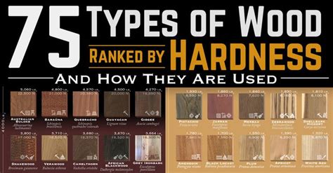 75 Types of Wood Ranked by Hardness | Tipos de madeira, De madeira, Madeira