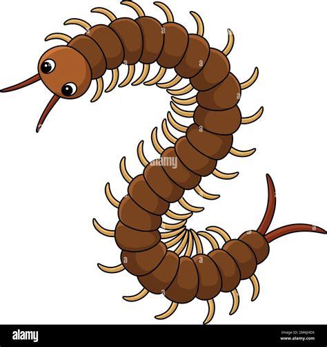 Millipede not insect Stock Vector Images - Alamy