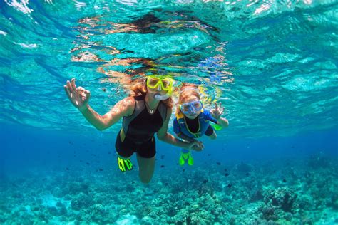 Snorkeling at Point of Rocks | Tropical Breeze Resort