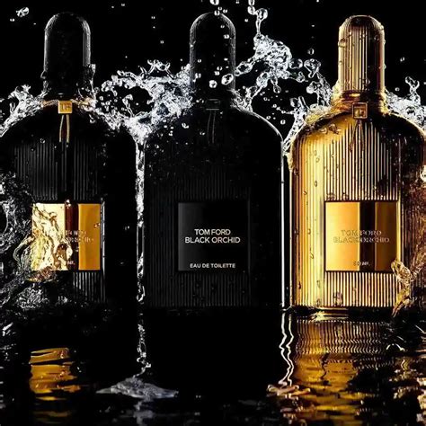 12 Best American Perfume Brands for Your Collection - Guide To Brands