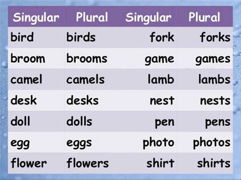 Singular and Plural Nouns: Definitions, Rules & Examples | Singular and ...