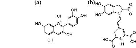 Structure of anthocyanidin, a flavinic ion of anthocyanin (a) and ...