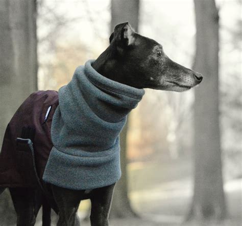 WHIPPET Winter Dog Coat Winter Coat for Dogs Waterproof | Etsy