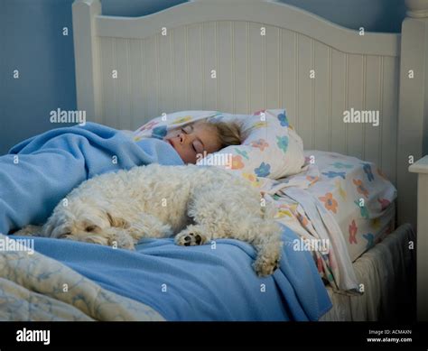 Niño durmiendo con su perro mascota Fotografía de stock - Alamy