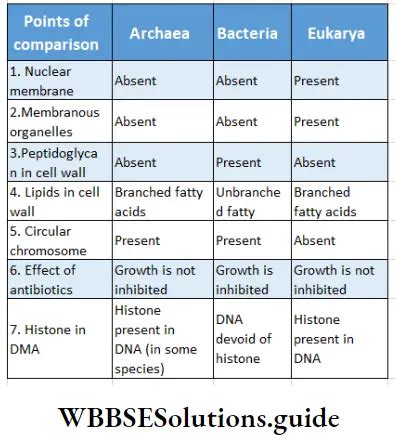 Archaebacteria Characteristics and Types Notes - WBBSE Solutions