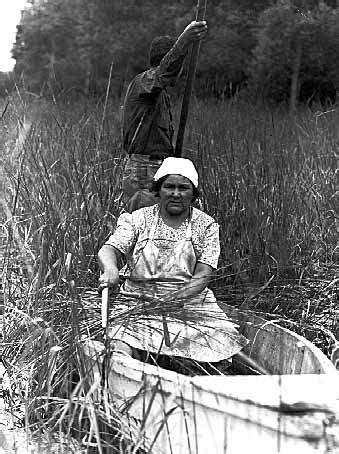 The Ojibwe People's Dictionary