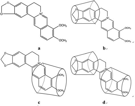 Molecular structure of berberine (a) and models of the b-CD-BH ...