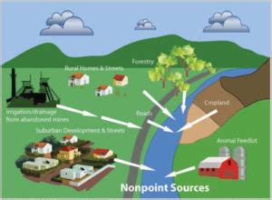 Non-Point Source Pollution – Flathead Conservation District