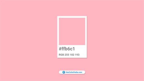 What is the color of Light Pink | Hexcolorpedia