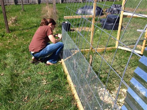 Building Chicken Wire Fence at Carolyn Borowski blog