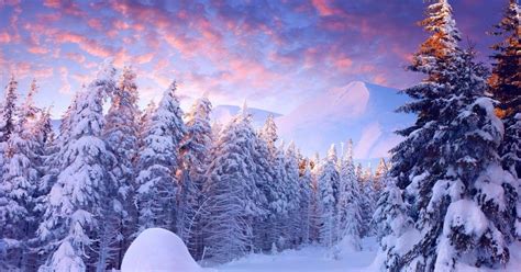 245 Winter Laptop Wallpaper Hd For FREE - MyWeb