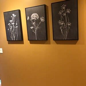 Framed Canvas Wall Art Set Wildflower Floral Botanical Prints ...