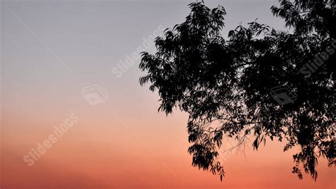 Sunset Landscape Scene Sunrise Evening Powerpoint Background For Free ...