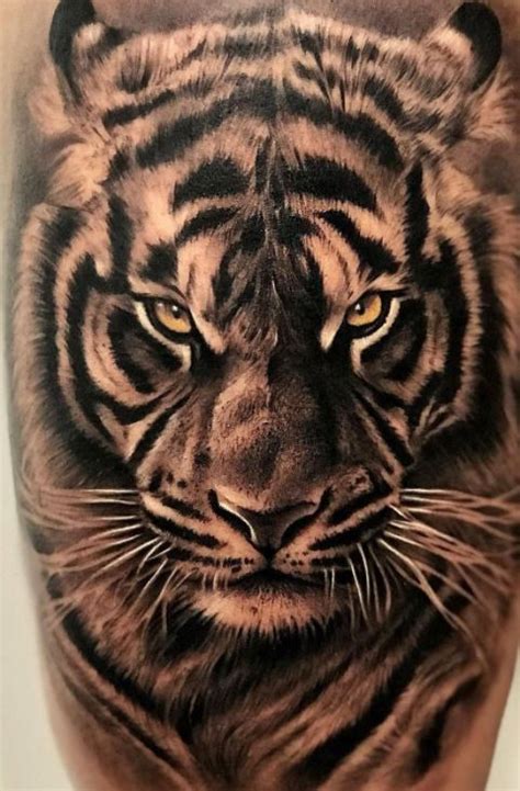 Lasciati ispirare dalle 10 migliori idee su tiger tattoo vorlagen