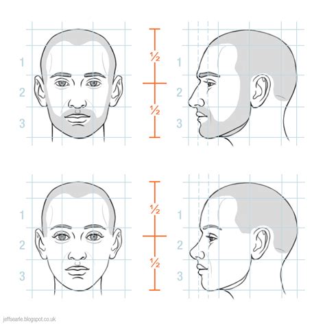 Human Face Drawing Proportions